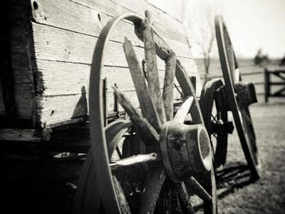 Community Movement Morning