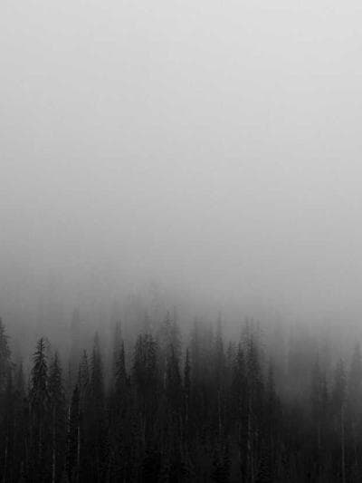 Priya - Movement Specialist