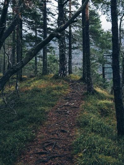 Rahul - Movement Instructor