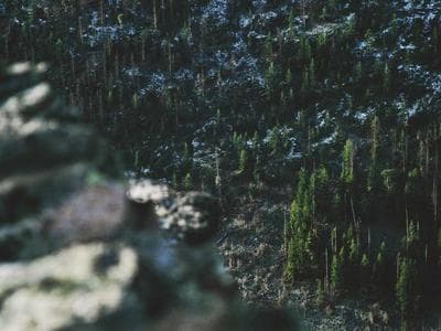 Weekend Movement Workshop